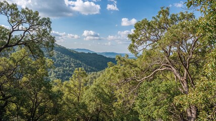 Fototapeta premium A lush green landscape with trees and distant mountains under a partly cloudy sky.
