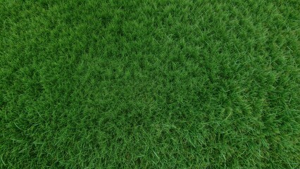 Fototapeta premium A close-up of lush green grass on the ground.