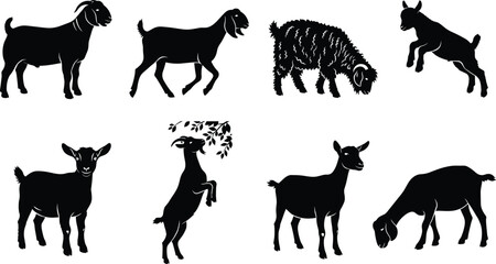Fototapeta premium Goat and Sheep Silhouette Vector Set with Farm Livestock Animal Poses Collection