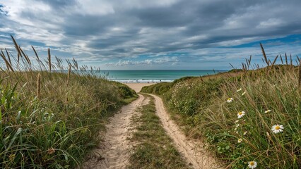 Fototapeta premium Pathway through grassy dunes leading to the ocean under partly cloudy sky. Coastal landscape, nature, and scenic view.