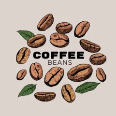 Coffee bean illustration, hand-drawn, realistic sketch © aksol