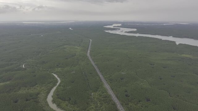 Aerial drone footage of Can Gio Mangrove Forest and winding rivers in Ho Chi Minh City, Vietnam, showcasing UNESCO biosphere reserve, lush wetlands and pristine tropical landscape.