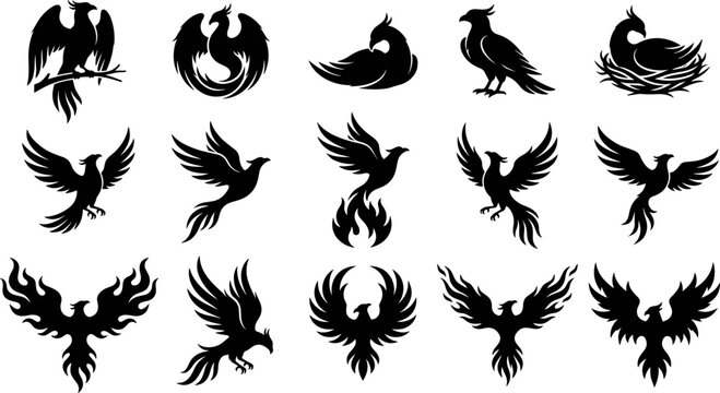 Phoenix silhouette vector set, mythical firebird icons, legendary bird collection, rising fire bird, black fantasy eagle symbols, rebirth mythical creature graphics, design.
