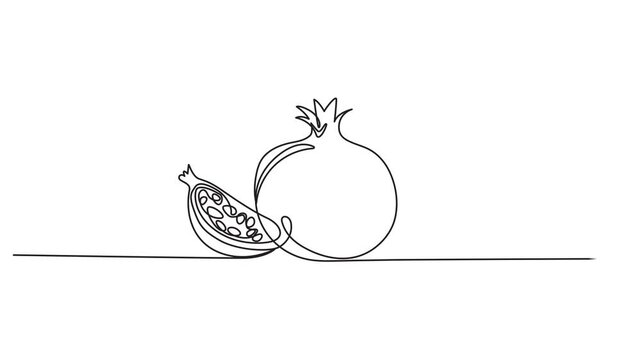 Pomegranate continuous one line drawing, Continuous linear drawing of pomegranate. One line drawing garnet. Pomegranate in one line style. Vector illustration, Pomegranate in Continuous single one