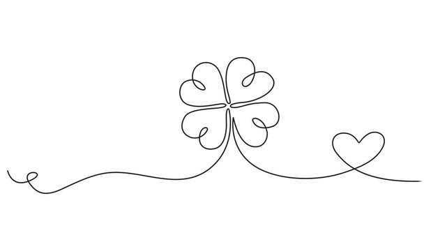 Three leaves clover continuous line drawing animated video. Saint Patrick's Day symbol animation. Four-leaf clover, one line drawing animation. Video clip with alpha channel.