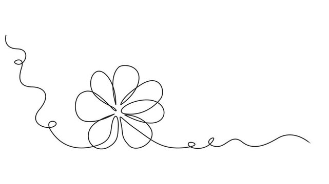 Three leaves clover continuous line drawing animated video. Saint Patrick's Day symbol animation. Four-leaf clover, one line drawing animation. Video clip with alpha channel.