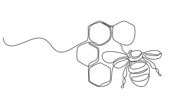 Abstract honeycomb with honey, Self drawing animation one continuous line draw, logo, Animated self drawing of  A continuous line drawing of a honey jar with a dipper, Vector continuous one single