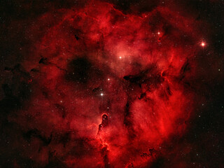 Vibrant clouds of interstellar gas and dust illuminate the darkness of space inside the Nebula, showcasing brilliant stellar clusters and gaseous formations. © Oleksii