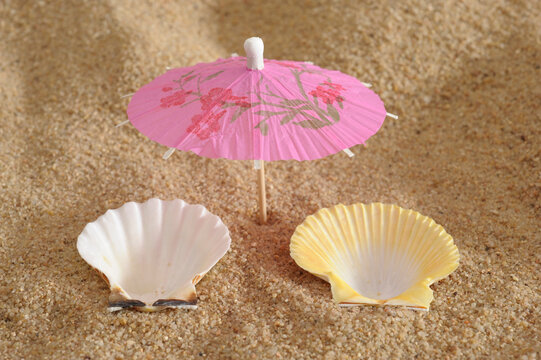 Ein Modell-Sonnenschirm mit zwei Muschelschalen symbolisieren Urlaub am Strand