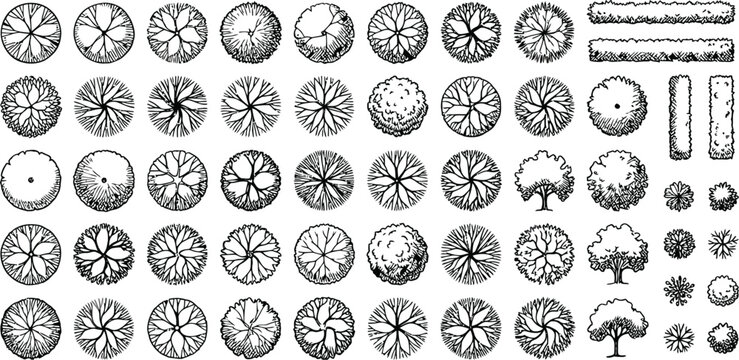 Collection of hand drawn tree top view icons for architectural landscape design and site planning vector illustration
