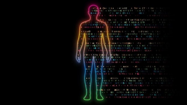 Animated glowing human body silhouette filled with DNA bases and abstract animated genetic code sequences, flowing to the right with a smooth fade-out effect, seamless loop, alpha channel background