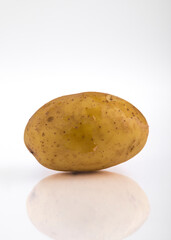 Fototapeta premium Potato isolated on white background with reflection and copyspace.