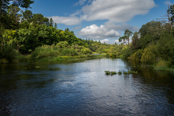 Fototapeta premium The River Cong and the forest of Cong near the locality of Cong, Ireland, with calm waters reflecting the overcast sky and dense, lush greenery on both sides