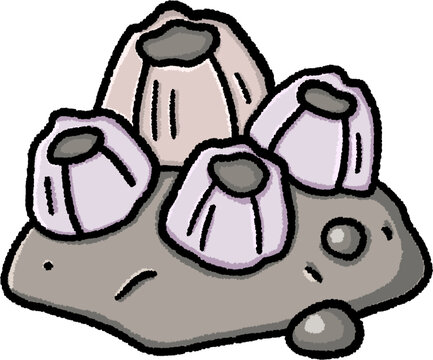Hand drawn ocean barnacles illustration