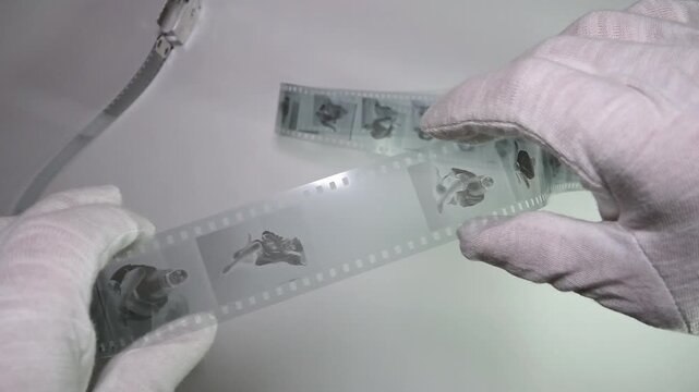 gloved hands stretch negative filmstrip with portrait frames over a light table