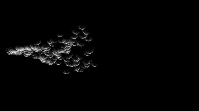 Whale Silhouette Formed by Flying Dandelion Seeds