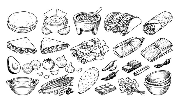 Hand Drawn Mexican Food Sketch Collection with Traditional Latin American Cuisine Vector Illustration