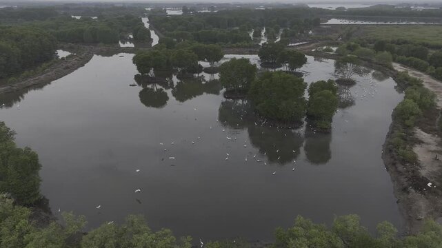 Aerial drone view of oyster farming rafts on the river in Long Son, near Ho Chi Minh City, Vietnam.