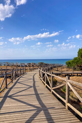 Obraz premium Wooden walkway leads through protected sand dunes covered with native coastal vegetation toward the Mediterranean shoreline in Cabopino, Spain