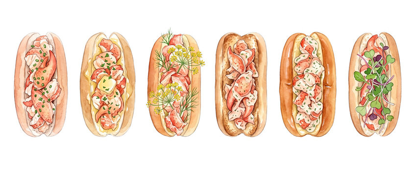 Lobster roll watercolor illustration set of gourmet seafood sandwiches on black background. Hand-drawn sketch of delicious brioche buns filled with lobster meat, fresh herbs, and melted butter.