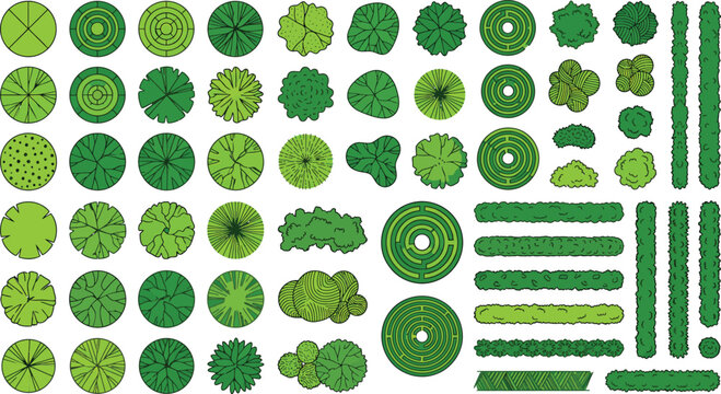 Top view tree and hedge collection for landscape architecture design in flat vector illustration style