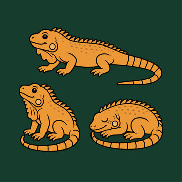 Cute iguana illustrations in vector, baby reptile drawings for kids clothes, marketing on toddler branding