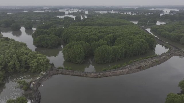Aerial drone view of oyster farming rafts on the river in Long Son, near Ho Chi Minh City, Vietnam.