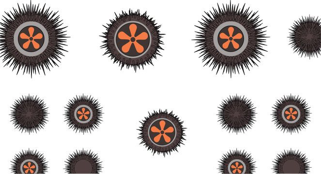 Sea Urchin Marine Animal Vector Icon Set Featuring Spiky Shell Textures and Orange Internal Gonad Uni Elements for Seafood Restaurant Menu Designs
