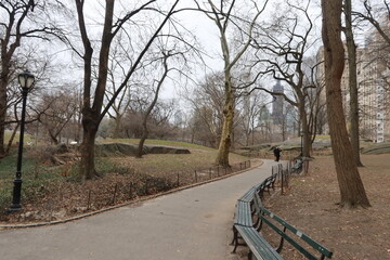 Fototapeta premium Curved walking path in Central Park, Manhattan, New York City