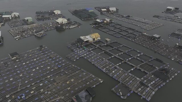 Aerial drone view of oyster farming rafts on the river in Long Son, near Ho Chi Minh City, Vietnam.