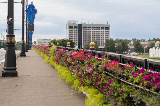 July 17, 2026, Belarus, Vitebsk. Summer flowering plants