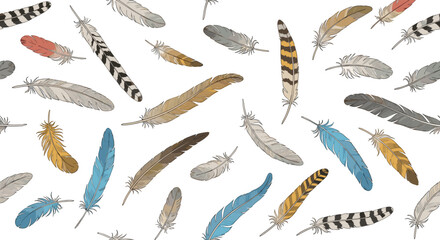 Fototapeta premium Pattern background filled with various bird feathers of different colors patterns and sizes scattered randomly.