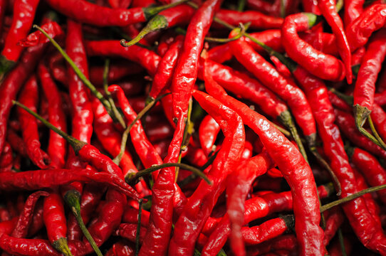 Full frame background texture of fresh spicy red chili peppers heap, raw Asian cooking ingredient pattern photo