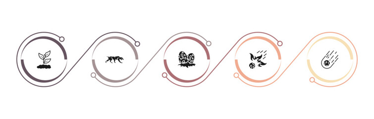 filled stone age icons set - plant, saber toothed tiger, diaur egg, meteor. editable vector for web and mobile ui © IconArt
