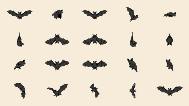 Collection of dark gray bat silhouettes in various flying poses against a pale beige background bats mammal chiroptera