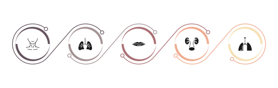 filled human body parts icons set - human neck, human lungs, thin lips, two kidneys. editable vector for web and mobile ui
