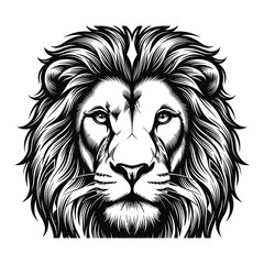A Lion king © Shorov