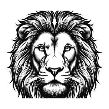 A Lion king