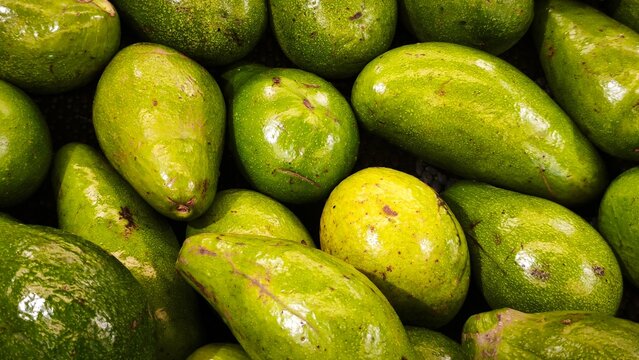 Fresh Green Avocados organic avocado at supermarket background