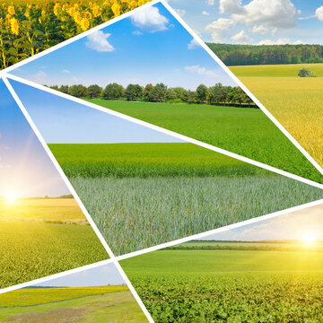 Beautiful Agricultural Landscapes Collage with Fields and Meadows Nature and Agriculture Mosaic Background with Fields at Sunset