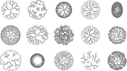 Set of architectural tree top view plan drawings in black and white outline vector format © Creative_Nazmin