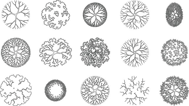 Set of architectural tree top view plan drawings in black and white outline vector format