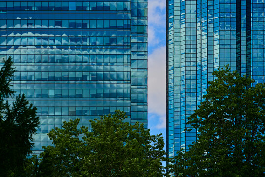 Reflective Glass Towers And Trees