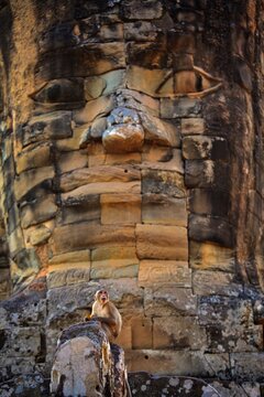 Monkey resting beneath the giant stone faces of Bayon

