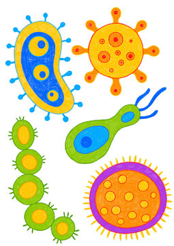 Bacteria and microorganisms colored pencil illustration set