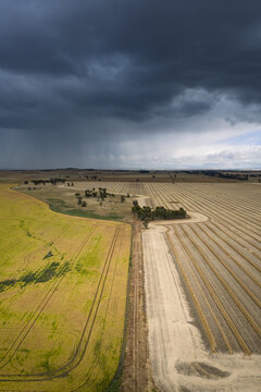 Heavy rain falling from dark clouds over dry harvested farmland