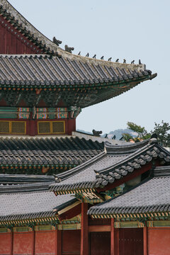 Intricate Patterns of Traditional Korean Roof Tiles