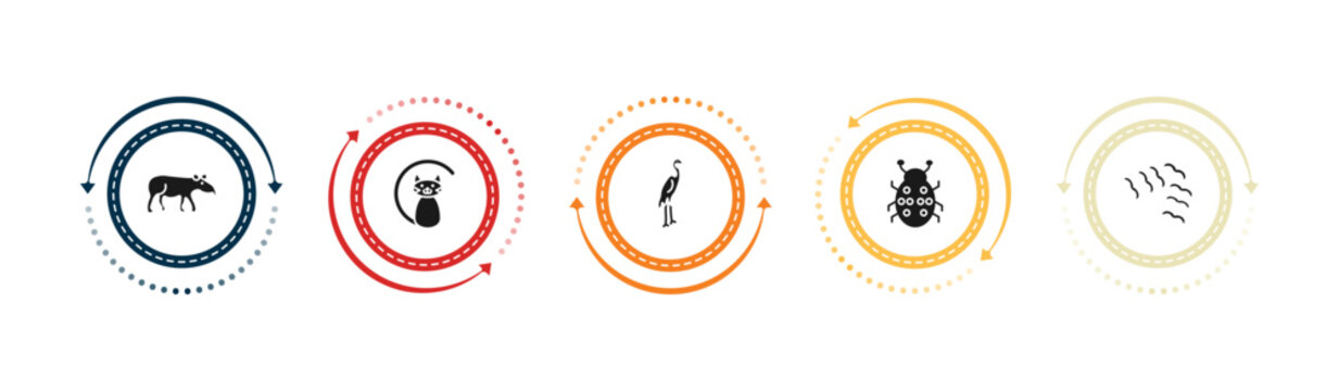filled animals icons set - tapir, black cat, heron, ladybird. editable vector for web and mobile ui