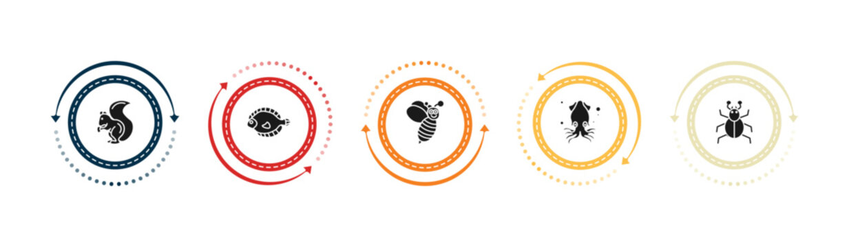filled animals icons set - squirrel, flounder, wasp, squid. editable vector for web and mobile ui