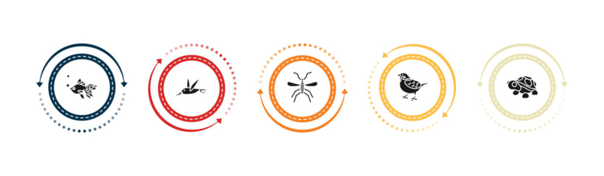 filled animals icons set - gold fish, colibri, mosquito, sparrow. editable vector for web and mobile ui